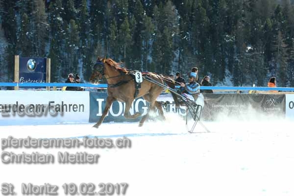 ET0Q0731 prot